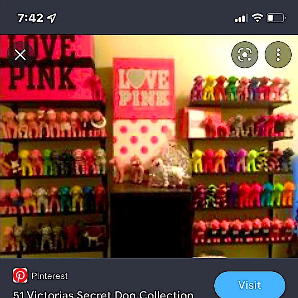 Vs Pink Dogs